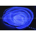 DC12V Blue Colour Flexible LED Strip Light